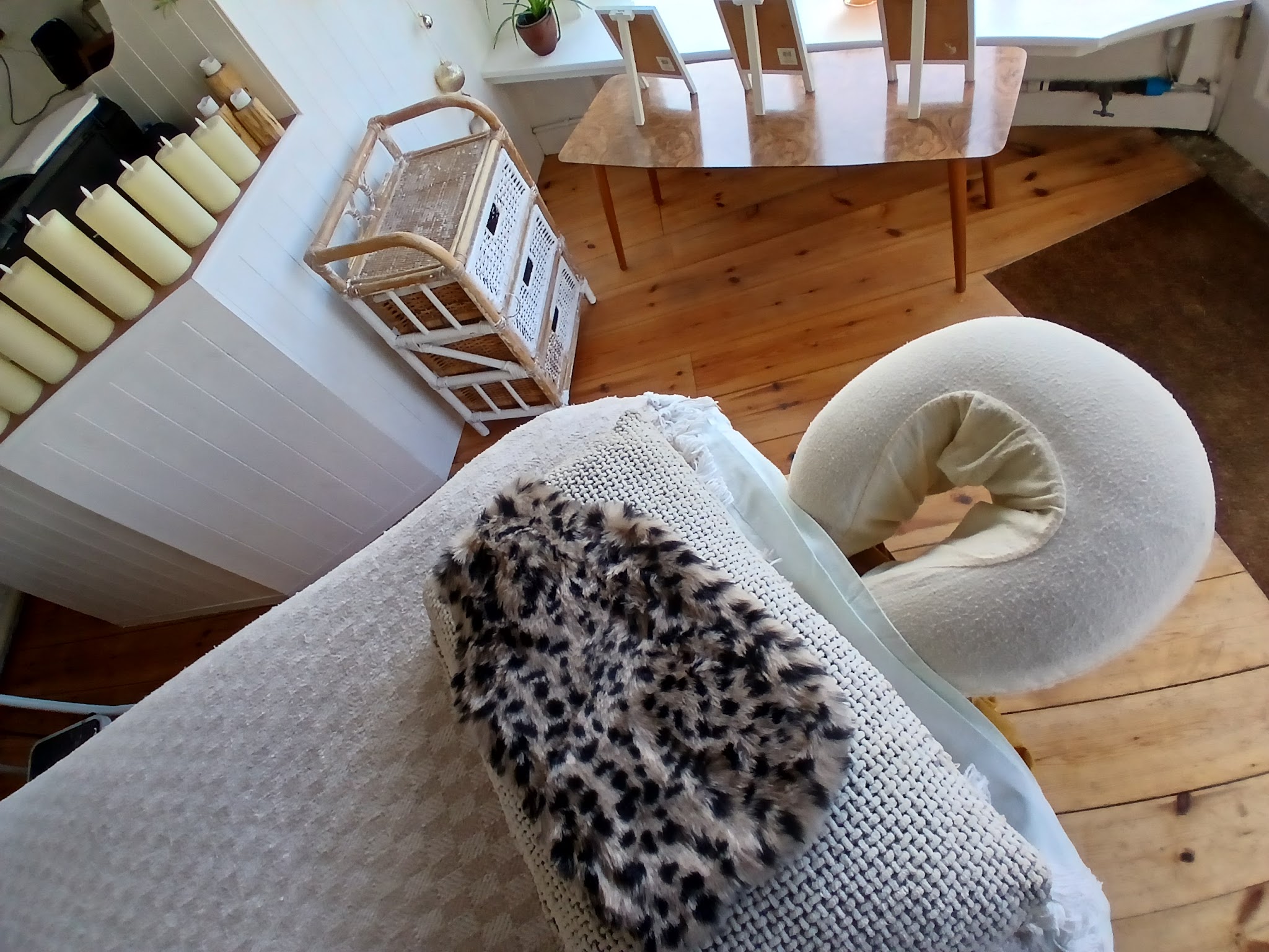 The couch face cradle with a soft leopard print mitt, the room behind