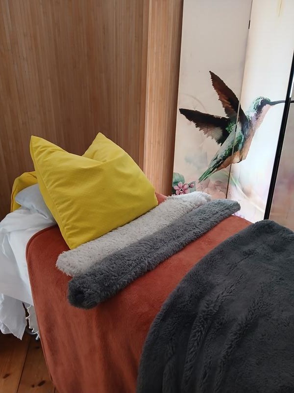 The couch made up with a yellow cushion and soft throws, a hummingbird picture on the wall